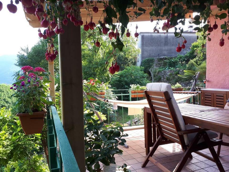 La Casa Rosa Di Segusino With Spa Jacuzzi In Garden Sequsino Экстерьер фото